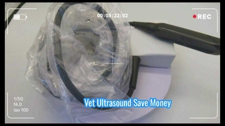 โพรบอัลตราซาวนด์ Mindray 75L50EAV Vet